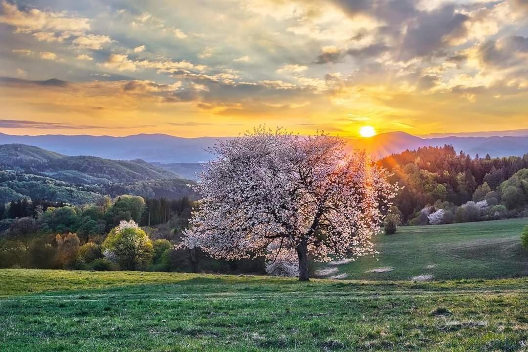 Penzion** Amalka Hriňová Exterior foto