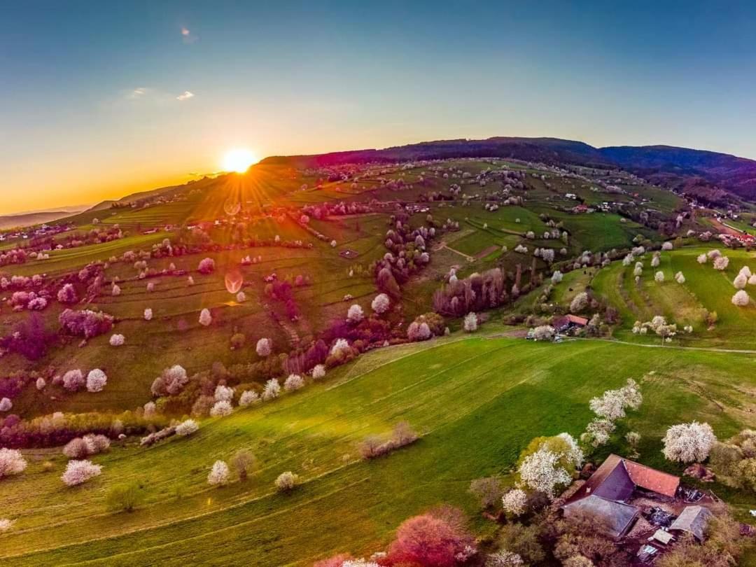 Penzion** Amalka Hriňová Exterior foto